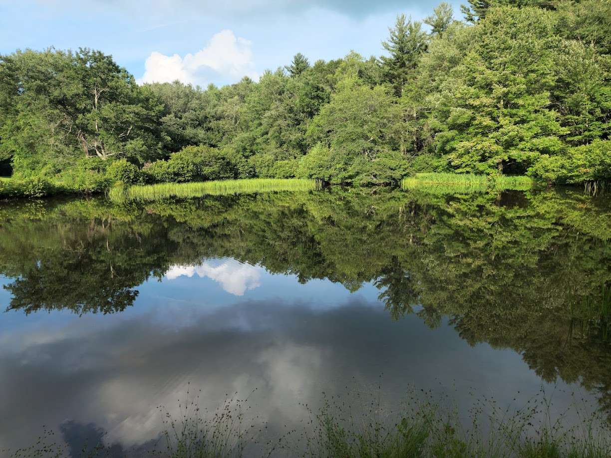 Little Glade Mill Pond